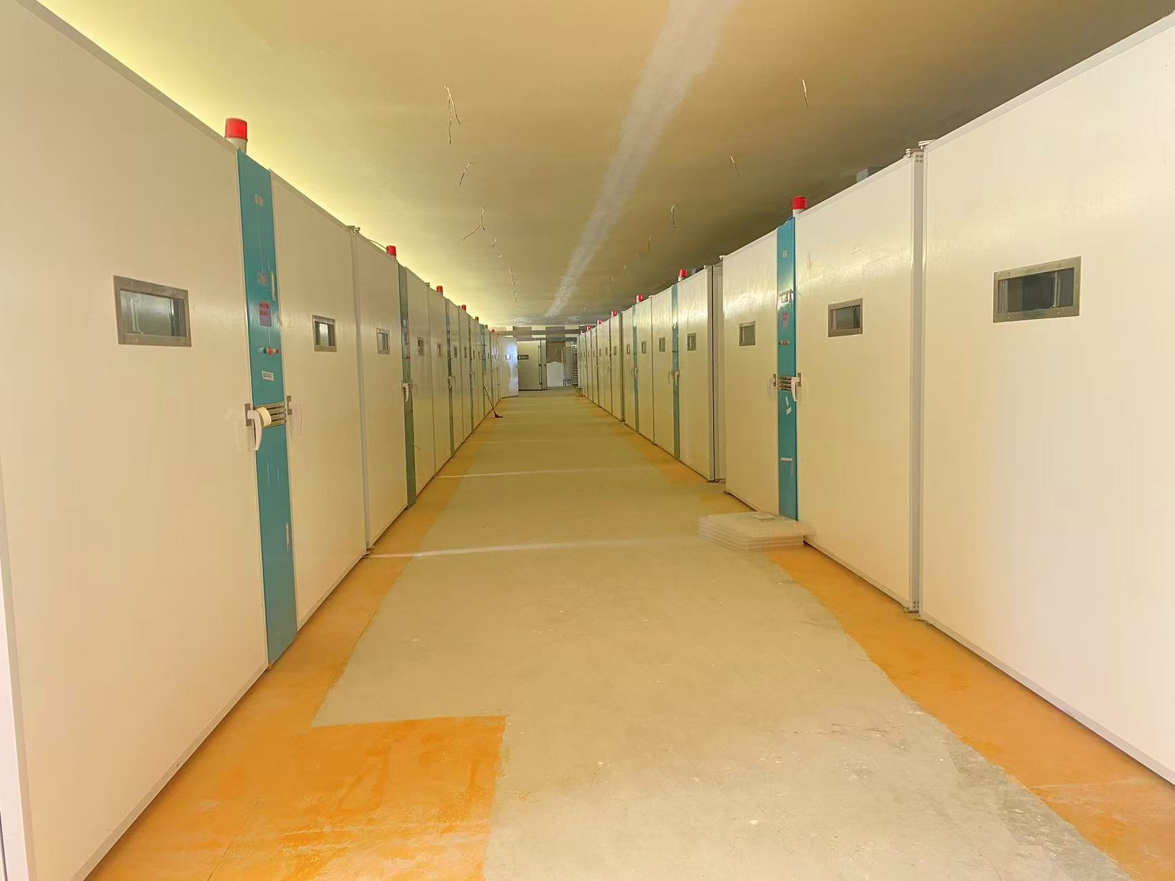 Latest company blogs about Gli incubatoi kenioti danno priorità all'approvvigionamento continuo e al supporto locale con 20 incubatrici monostadio
