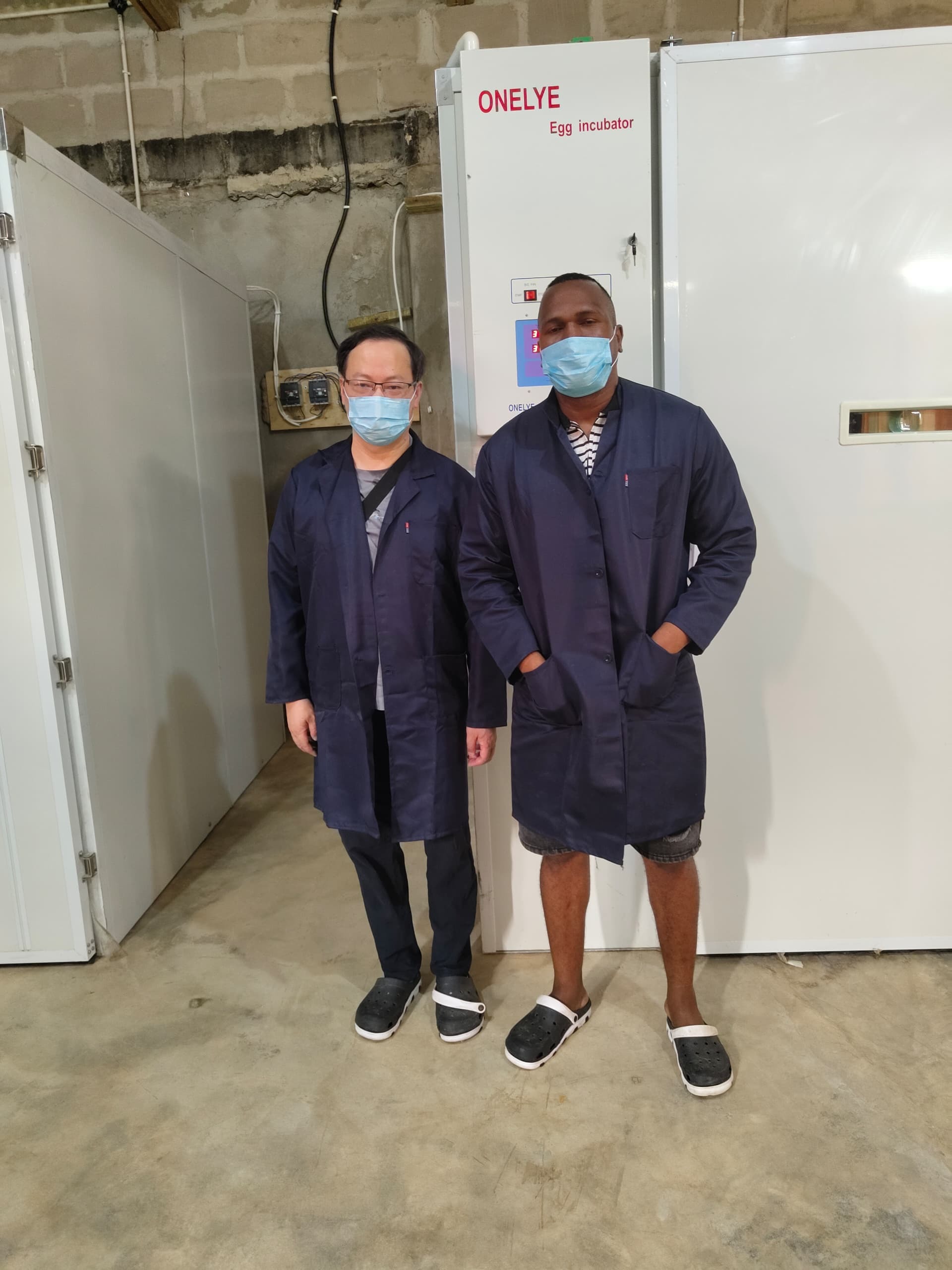 Ultimi blog aziendali su Le oscillazioni termiche giornaliere in Etiopia causano schiuse irregolari: soluzioni di isolamento e flusso d'aria uniforme per incubatrici di pollame