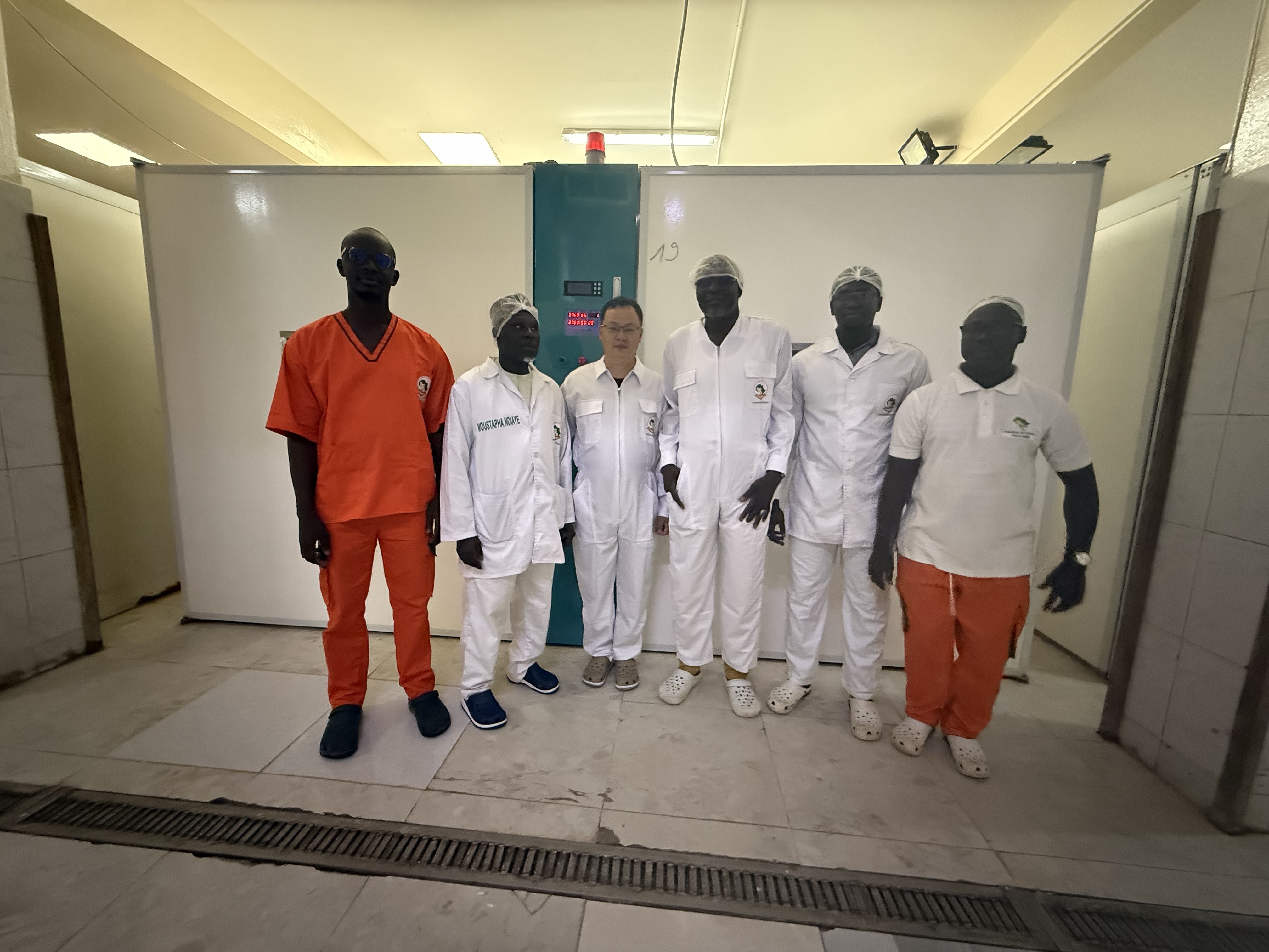 Ultimi blog aziendali su L'incubatore a una sola fase con una capacità di 57.600 uova più conveniente per le nuove aziende di pollame commerciale