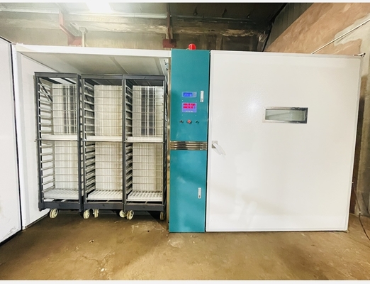 comprare Incubatrice controllata della singola fase del microcomputer con accuratezza di temperatura di ±0.5°C online manufacture