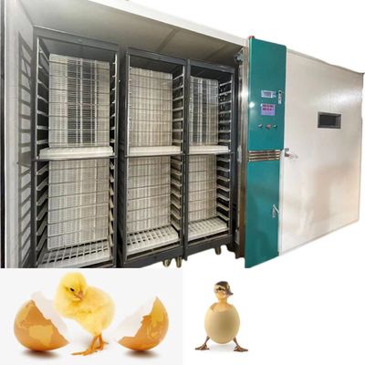 comprare Covata dell'incubatrice automatica 19200 dell'uovo del pollo della larga scala di tasso 98% online manufacture