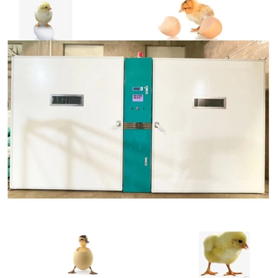 comprare Grande uovo del pollo dell'azienda agricola che cova capacità della larga scala 19200 della macchina online manufacture