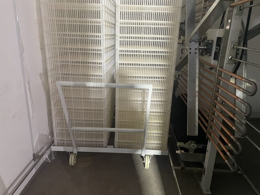 600*600*800mm Single Stage Incubator with LED Digital Display 1000W