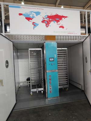 comprare Dispositivo touch screen ELT-19200 Incubatore commerciale per uova di gallina online manufacture