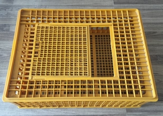 comprare Gli accessori della gabbia di pollo trasportano la gabbia di plastica 732x534x260mm del pollo del pollame online manufacture