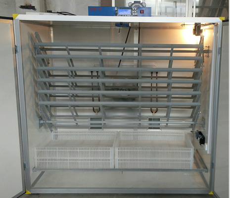 comprare Uova dell'incubatrice 2000 del fagiano online manufacture