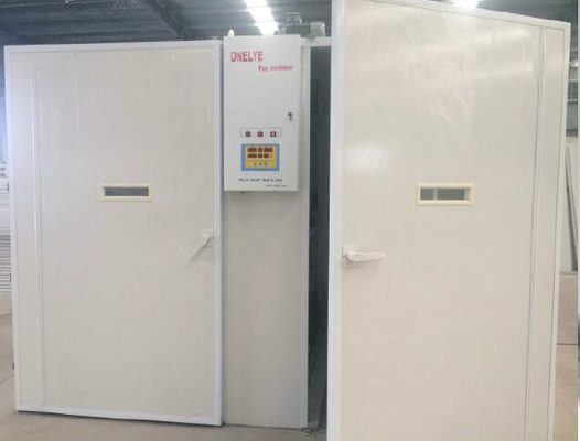 comprare Parrocchetto Duck Chicken Egg Incubator With Turner Auto Hatch Incubators automatico online manufacture