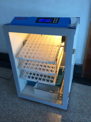 comprare Auto completamente automatico dell'incubatrice di capacità dell'uovo della quaglia 500 che gira 350W online manufacture