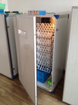 comprare Incubatrice completamente automatica dell'uovo della covata facile per l'incubatrice di capacità delle uova delle uova 300 del pollo online manufacture