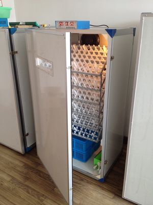 comprare Incubatrice automatica dell'uovo del pollame che cova l'incubatrice dell'uovo della macchina 600 online manufacture