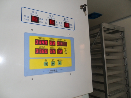 comprare Zeri industriali commerciali 5.5kw della macchina 7168 dell'incubatrice del pollo online manufacture