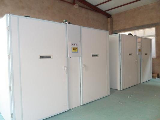 comprare Macchina combinata dell'incubatrice del pollame della singola fase 63648 di allevatore automatico dell'incubatrice online manufacture