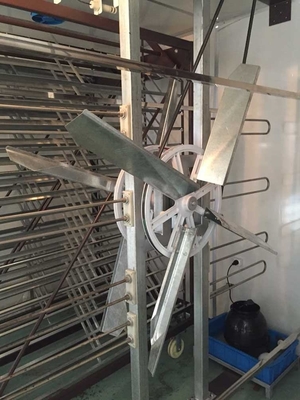 comprare Multi capacità delle uova dell'incubatrice della singola fase e dell'incubatrice 3000 dell'uovo del Governo dell'incubatrice online manufacture