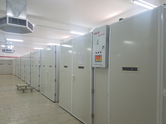 comprare Uovo del pollo di 20000 incubatrici che cova macchina online manufacture