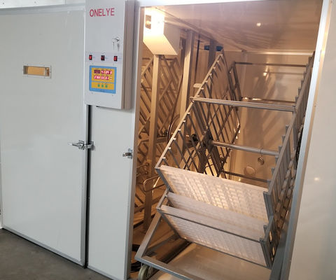 comprare Covata commerciale dell'uovo del pappagallo del fagiano delle uova dell'incubatrice 10000 dell'uovo di grande capacità online manufacture