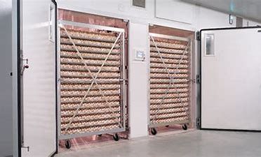 comprare Incubatrice intelligente della singola fase della quaglia di 31824 uova con l'uovo Turner online manufacture