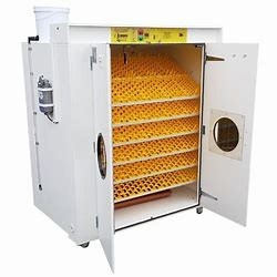 comprare Incubatrice commerciale Turner Heat automatico dell'uovo di quaglia 31824 regolabile online manufacture