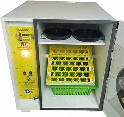 comprare Uova automatiche dell'incubatrice 672 modo intelligente enorme del piccione di multi online manufacture