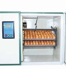comprare Gli allevatori automatici dell'incubatrice dell'uovo del pollo da 360 gradi hanno arieggiato online manufacture