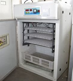 comprare Profilati estrusi enormi dell'incubatrice dell'uovo del pollame 200PCS online manufacture