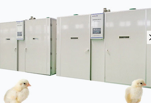 comprare Incubatrice della singola fase di 57600 uova del pollo che cova macchina online manufacture
