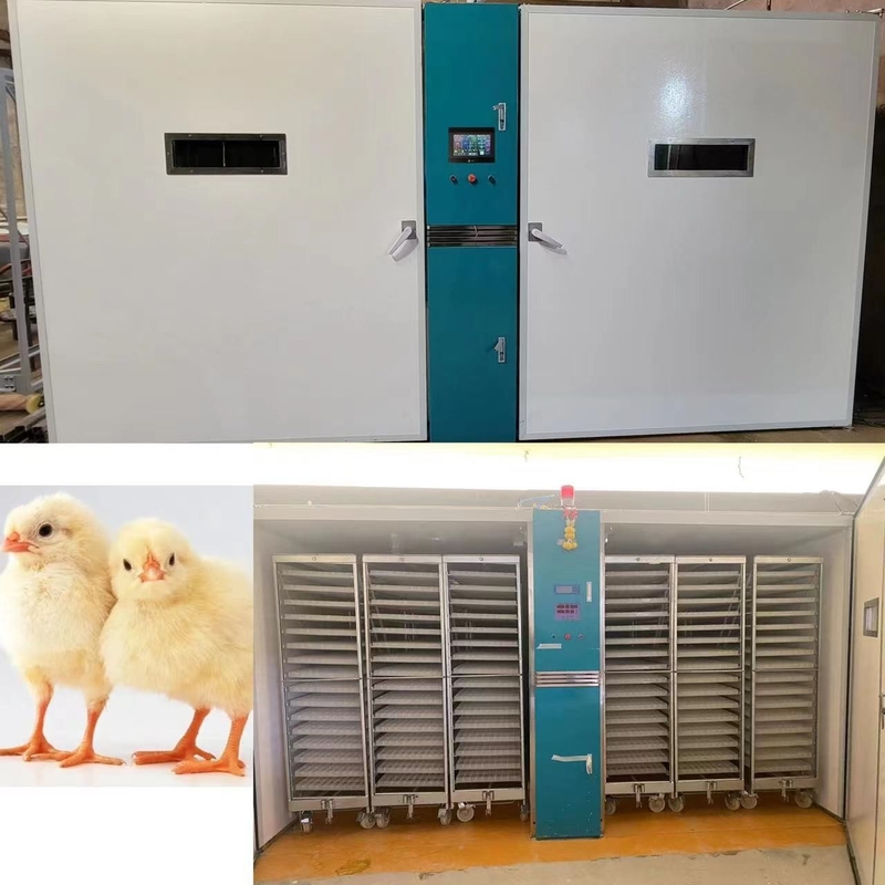 220V/50Hz Chicken Hatching Machine With Humidity Accuracy Of ±3%RH